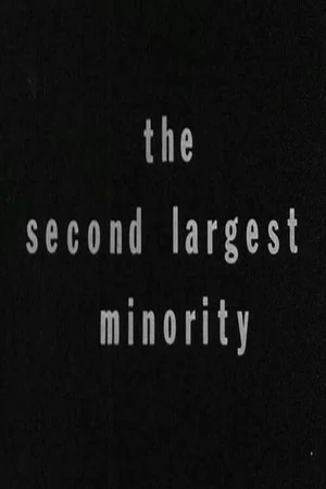 Постер: The Second Largest Minority