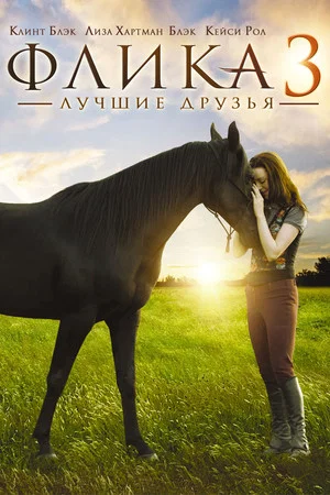 Постер: Флика 3