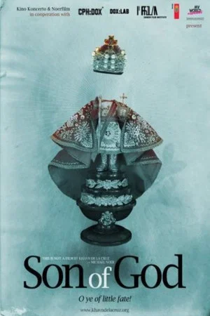 Постер: Son of God