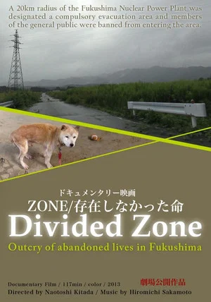 Постер: Divided Zone - Outcry of Abandoned Lives in Fukushima