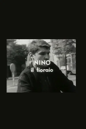 Постер: Nino il fioraio