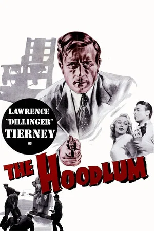 Постер: The Hoodlum