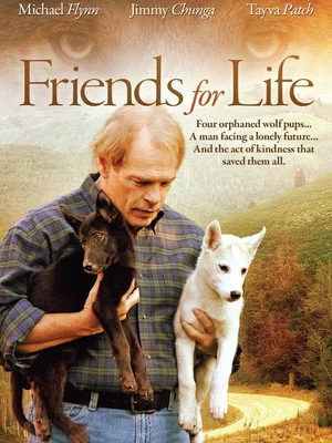 Постер: Friends for Life
