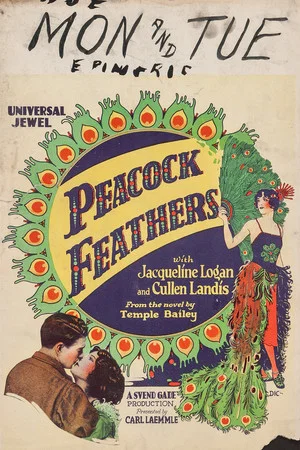 Постер: Peacock Feathers