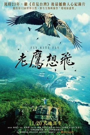 Постер: Fly, Kite Fly