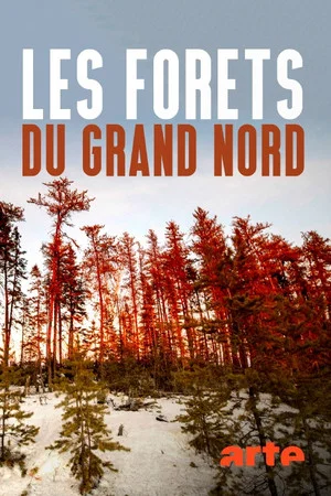 Постер: Les forêts du Grand Nord