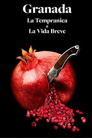 Постер: La vida breve