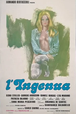 Постер: Простушка