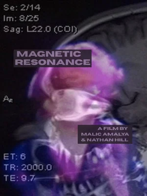 Постер: Magnetic Resonance