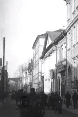 Постер: Town of Tartu and Its Surroundings