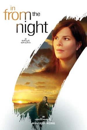 Постер: In from the Night