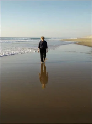 Постер: The Longing of Michael Dudok de Wit