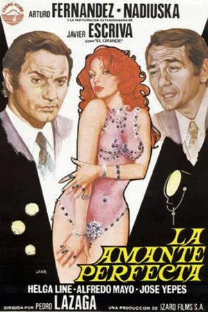 Постер: The Perfect Lover