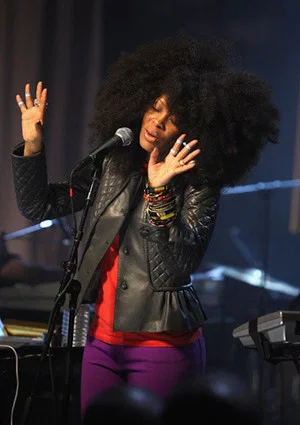 Постер: Erykah Badu Live at VH1 Soul Stage 2008