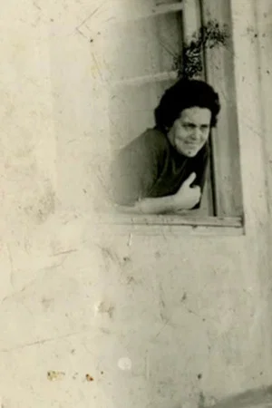 Постер: The Window