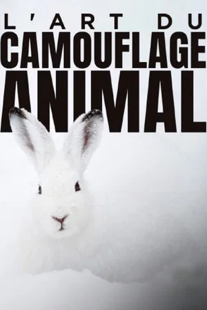 Постер: L'art du camouflage animal