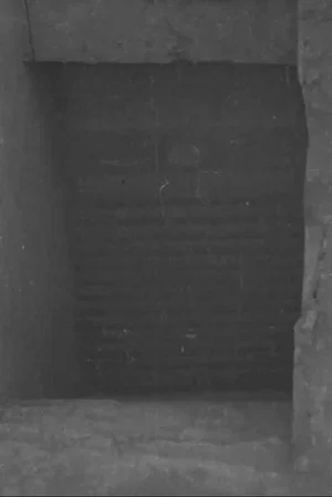 Постер: Tut-ankh Amen's Tomb (Daily Sketch Topical Budget 600-1)