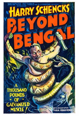 Постер: Beyond Bengal