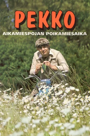 Постер: Pekko aikamiespojan poikamiesaika