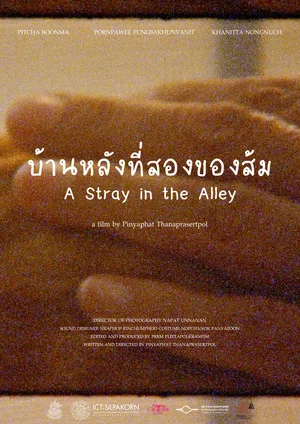 Постер: A Stray in the Alley