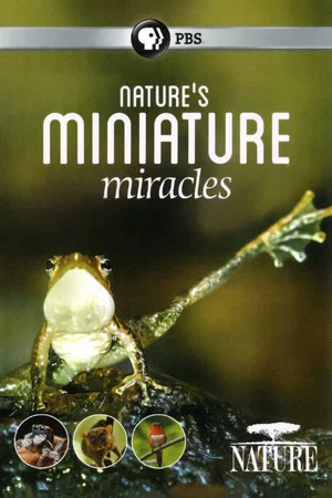 Постер: Nature's Miniature Miracles