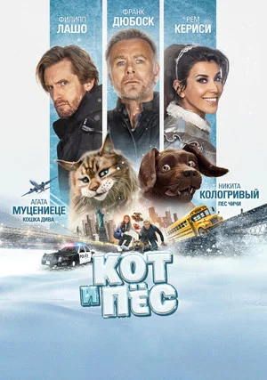 Постер: Кот и пёс
