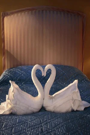 Постер: Swan Song