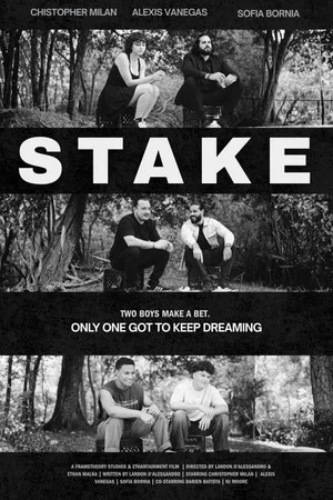 Постер: Stake