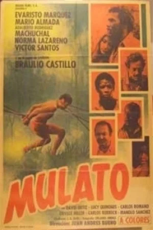 Постер: Mulato