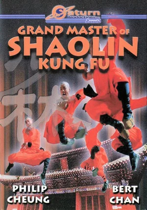 Постер: The Divine Martial Arts Of Dharma