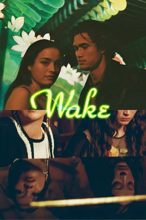Постер: Wake