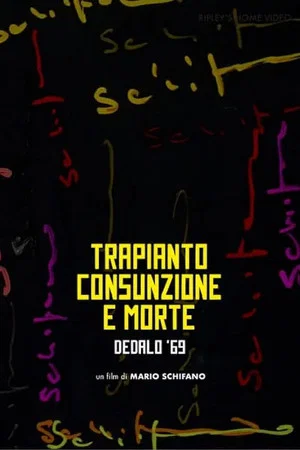 Постер: Transplantation, Consumption and Death of Franco Brocani