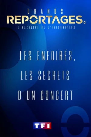 Постер: Les Enfoirés, les secrets d'un concert