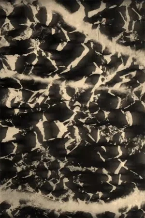 Постер: Refractions