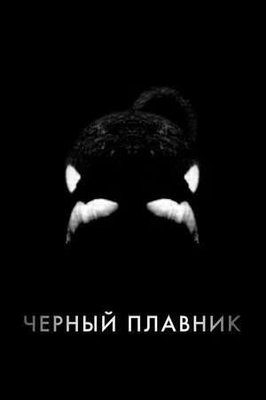 Постер: Чёрный плавник