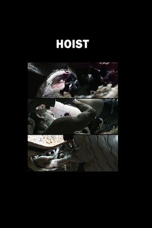 Постер: Hoist