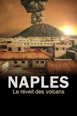 Постер: The Next Pompeii?