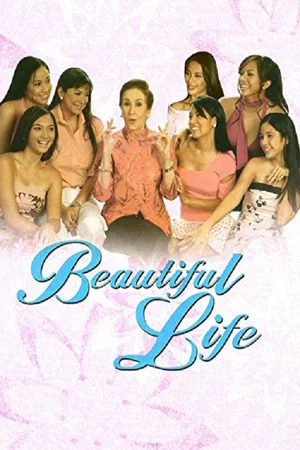 Постер: Beautiful Life