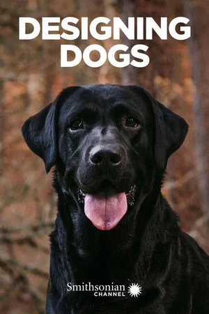 Постер: Designing Dogs