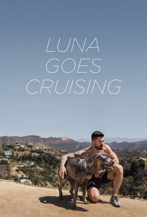 Постер: Luna Goes Cruising