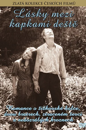 Постер: Love Between the Raindrops