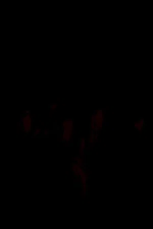 Постер: Une nuit