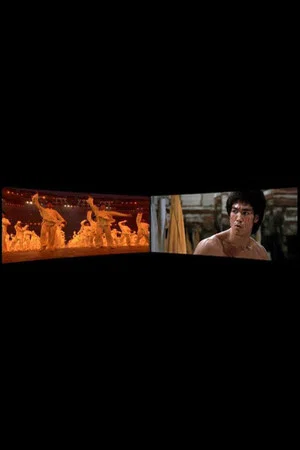 Постер: Enter the Dragon 1973-2008