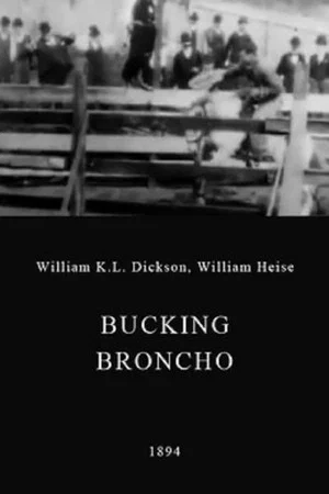 Постер: A Bucking Broncho