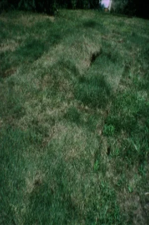 Постер: Grass Breathing