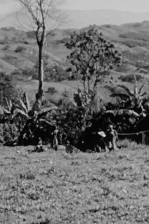 Постер: Haiti