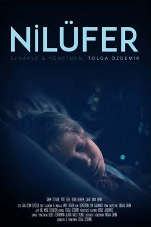 Постер: Nilüfer