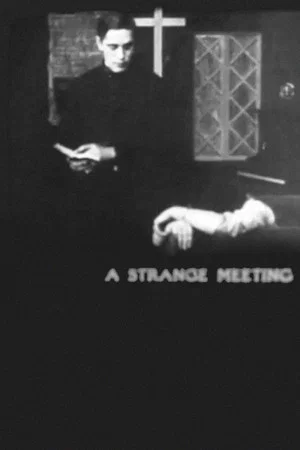 Постер: A Strange Meeting