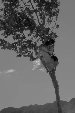 Постер: In the Wind