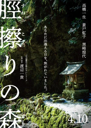 Постер: The Forest of Sunekosuri